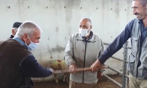 Kurban pazarlığında 'sopalı' pazarlık dönemi