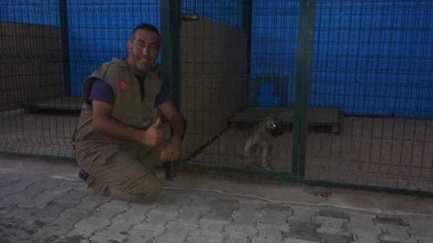 Mersinde kayalıklarda mahsur kalan köpek yavrusu 10 gün sonra kurtarıldı