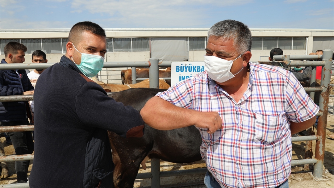 Çubuk Belediyesi Canlı Hayvan Pazarı`nda kurbanlık satışları nedeniyle her türlü tedbirleri aldıklarını belirten Çubuk Belediyesi Sağlık İşleri Müdürü Mehmet Akif Topçu ise şunları kaydetti: