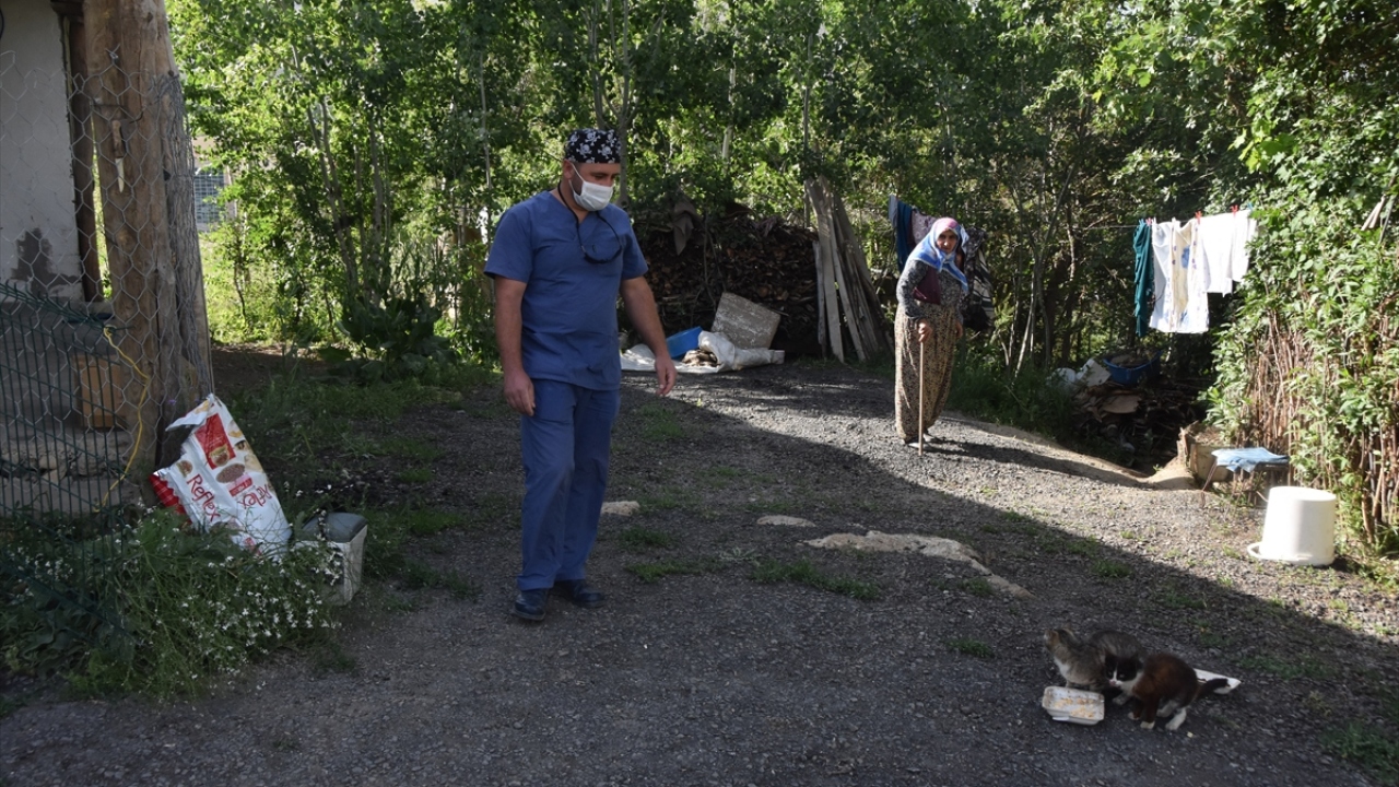 Evden artan yemeklerin yanı sıra süt, yoğurt ve mamayla doyurduğu kedilerle vakit geçirmekten keyif duyan Yılmaz, her birine ayrı isim taktığı kedilerinin bakımıyla da yakından ilgileniyor. 