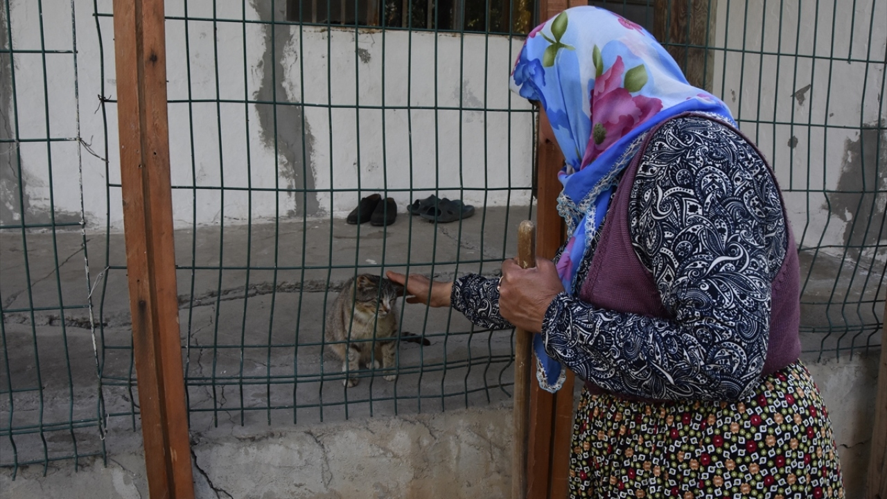 Hakkari Belediyesi Veteriner İşleri Müdürlüğü de Yılmaz`a kedilerin tedavisi ve mama konusunda destek veriyor. 