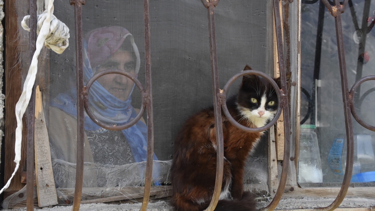 Yılmaz, yaptığı açıklamada, başında kist olduğunu, bel fıtığı ve dizindeki rahatsızlıktan dolayı yürümekte güçlük çektiğini söyledi. 