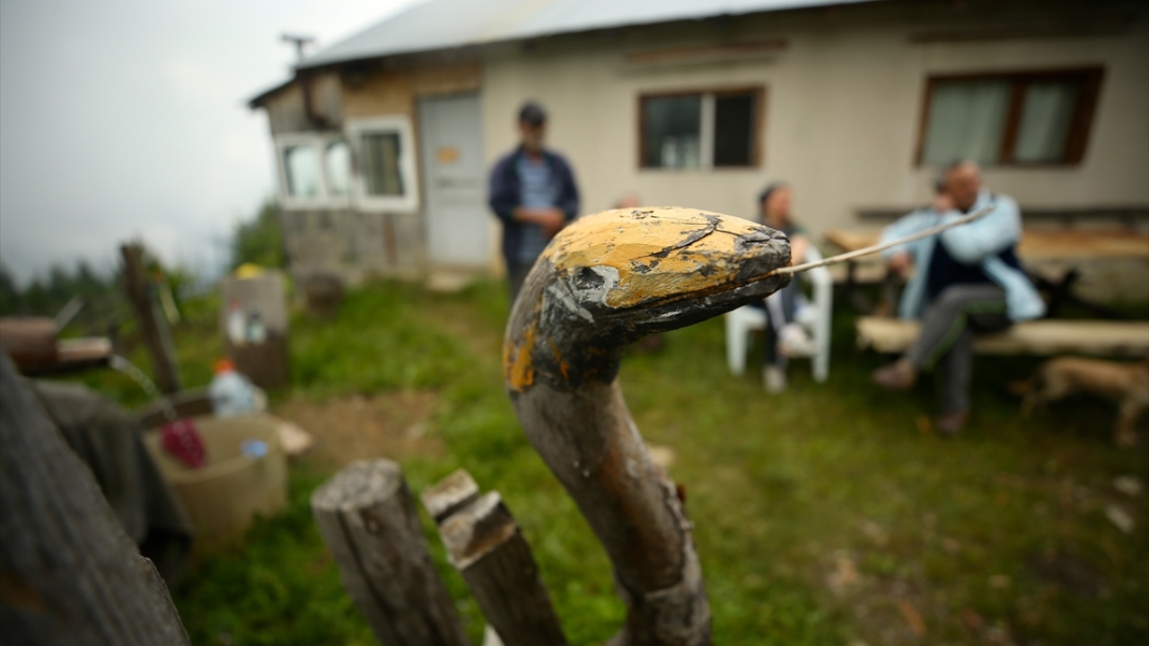 Doğa, hayvan ve ağaç sevgisini yaylada sürdürdüğü yaşamla birleştiren Şahin, boş zamanlarını değerlendirmek için de ağaç parçalarından çeşitli eserler yapıyor. 