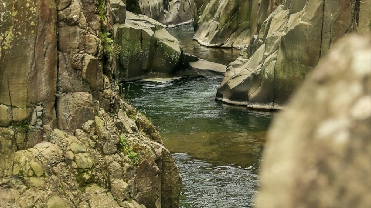 Açıklamada değerlendirmelerine yer verilen Büyükşehir Belediye Başkanı Mehmet Hilmi Güler, son yıllarda kente gelen yerli ve yabancı turist sayısının arttığını, en çok ziyaret edilen yerlerin arasında Küpkaya Kanyonu`nun da bulunduğunu belirtti. 