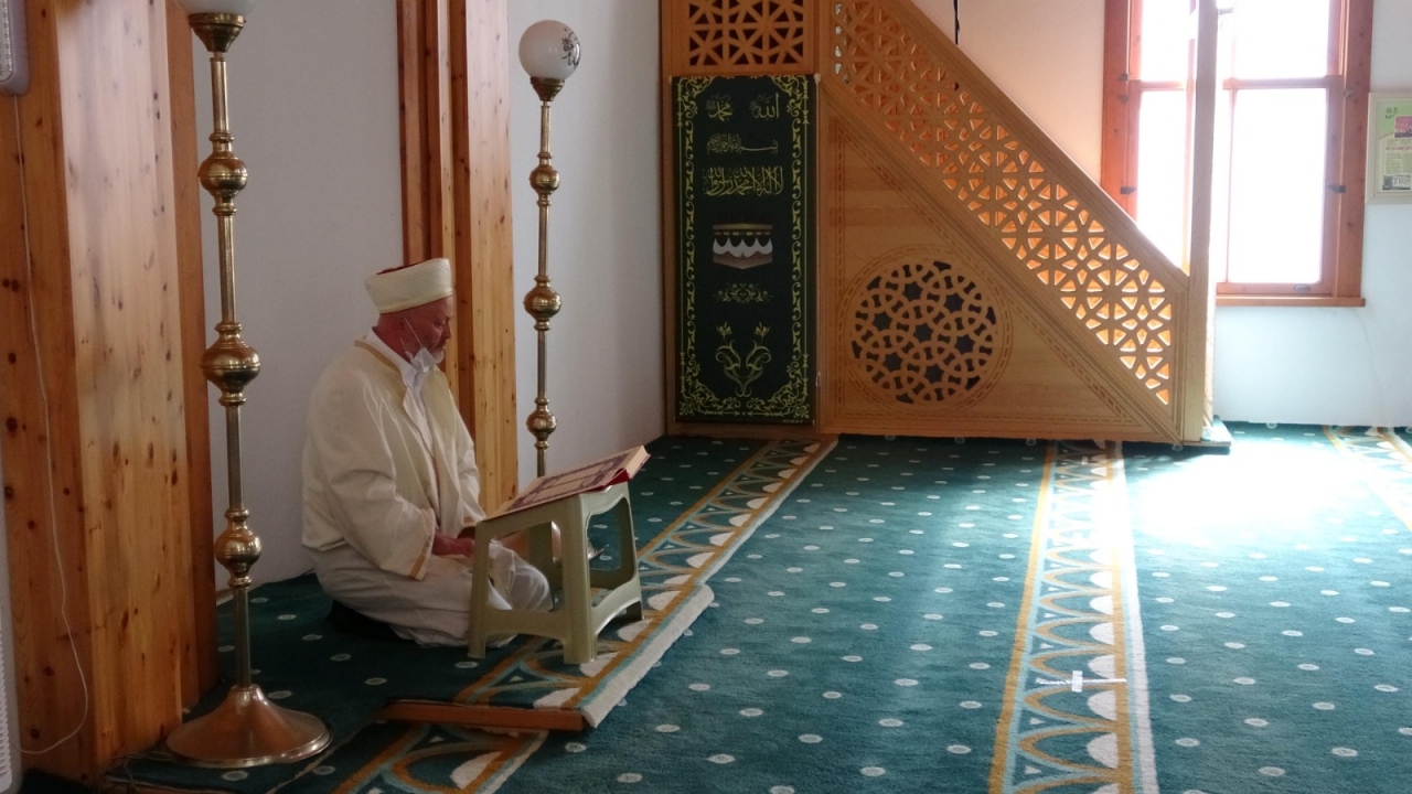 Gölcük ilçesi Değirmendere Yalı Mahallesi’ndeki Yalı Camii’nin imamı Harun Özdemir, yaklaşık 1 ay kadar önce namaz kıldığı sırada bir kedi gördü. 