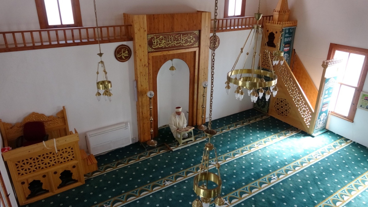 Yavrular, kendilerine bakabilecek erişkinliğe ulaşana kadar camide kalacak.