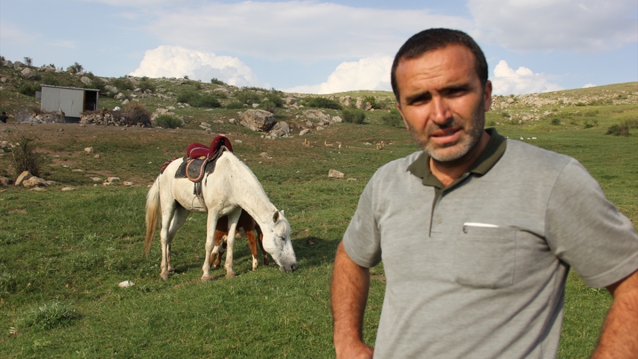 Abdullah Solak, yaptığı açıklamada, Dana 40 günlükken annesinin yaylada kurdun saldırısına uğrayarak telef olduğunu anlattı.