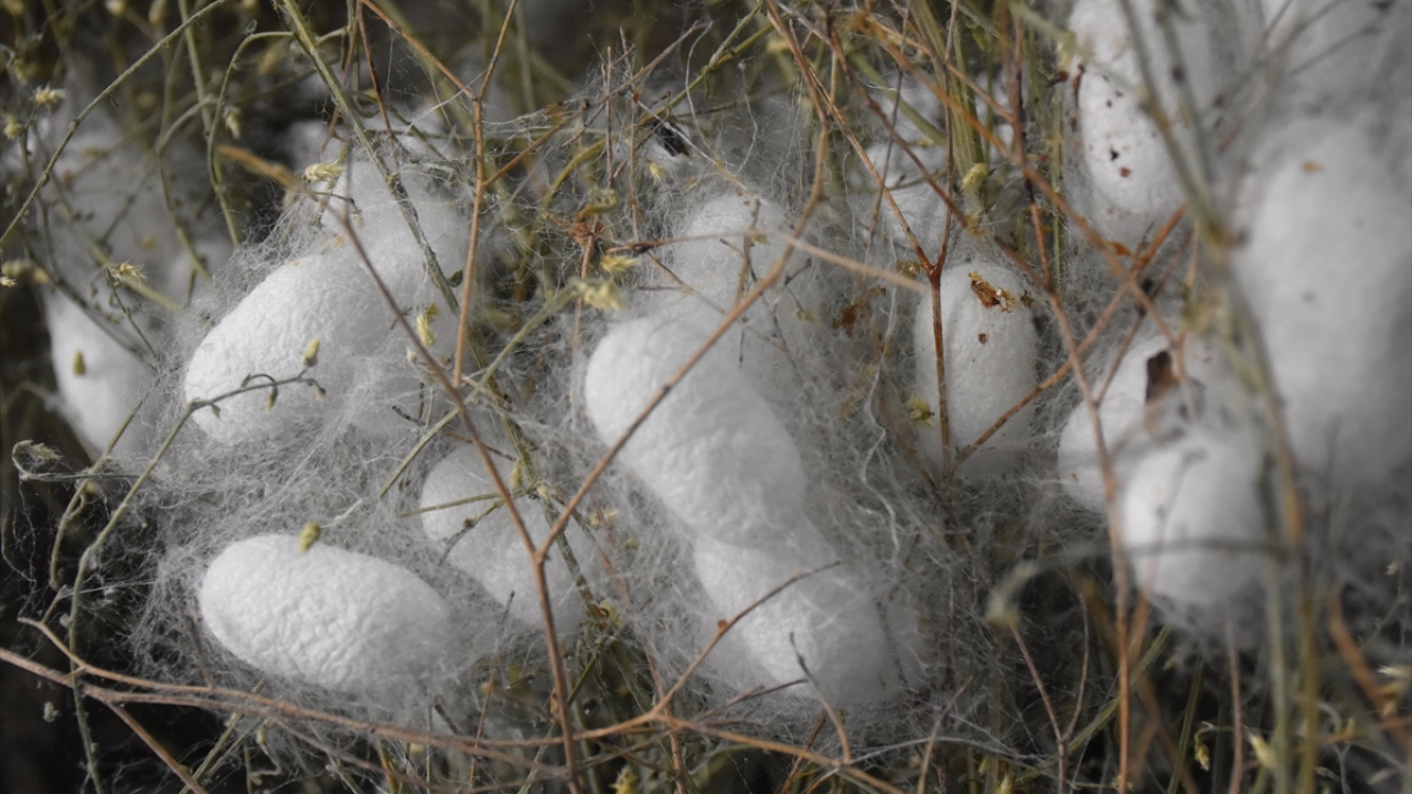 "Cumhurbaşkanımızın desteğiyle gelişiyoruz" 