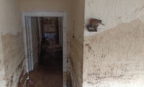 Selde yavrularını bırakmayan kumru simge haline geldi