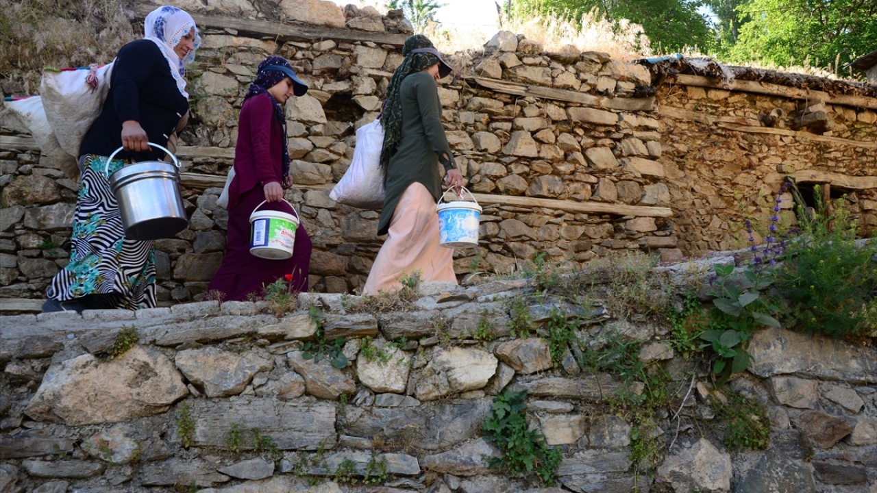 Sıcağa rağmen kimi zaman yürüyerek kimi zaman eşek sırtında zorlu bir yolculuğa çıkan berivanlar, sağımın ardından aynı yolu kullanarak evlerine dönüyor. 