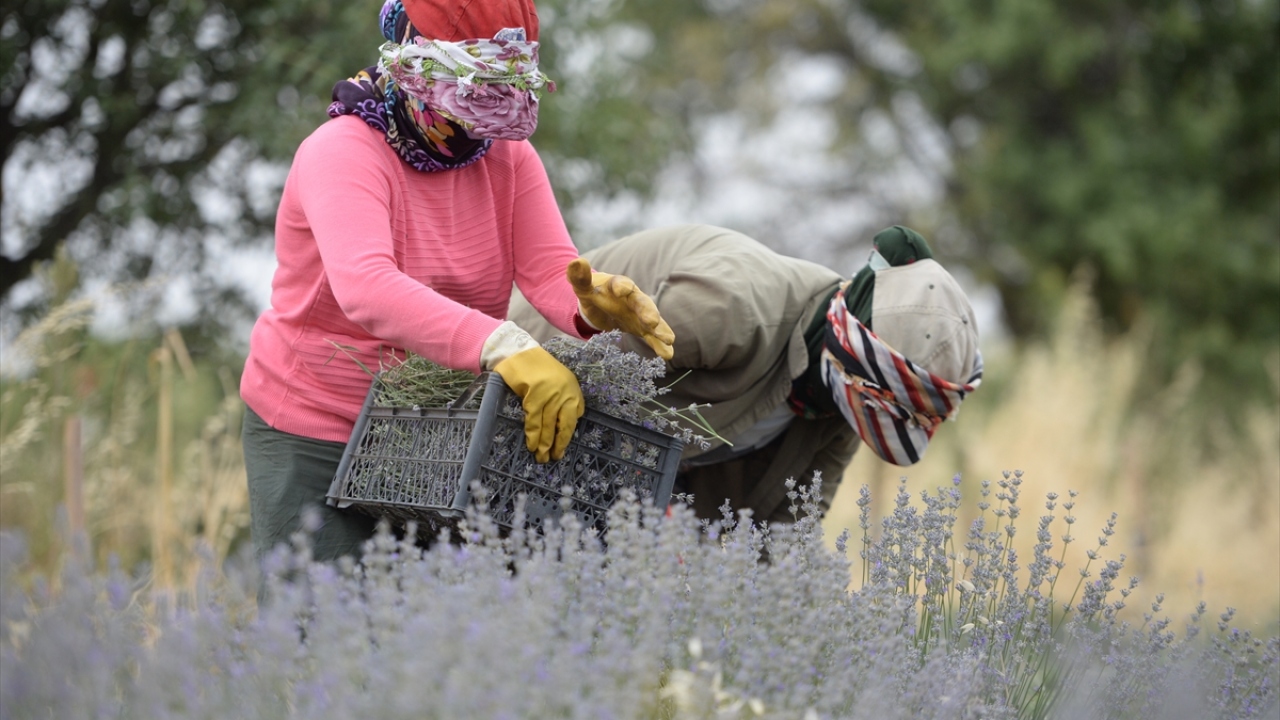 "Türk devletine, Türk Kızılaya çok teşekkür ediyoruz"