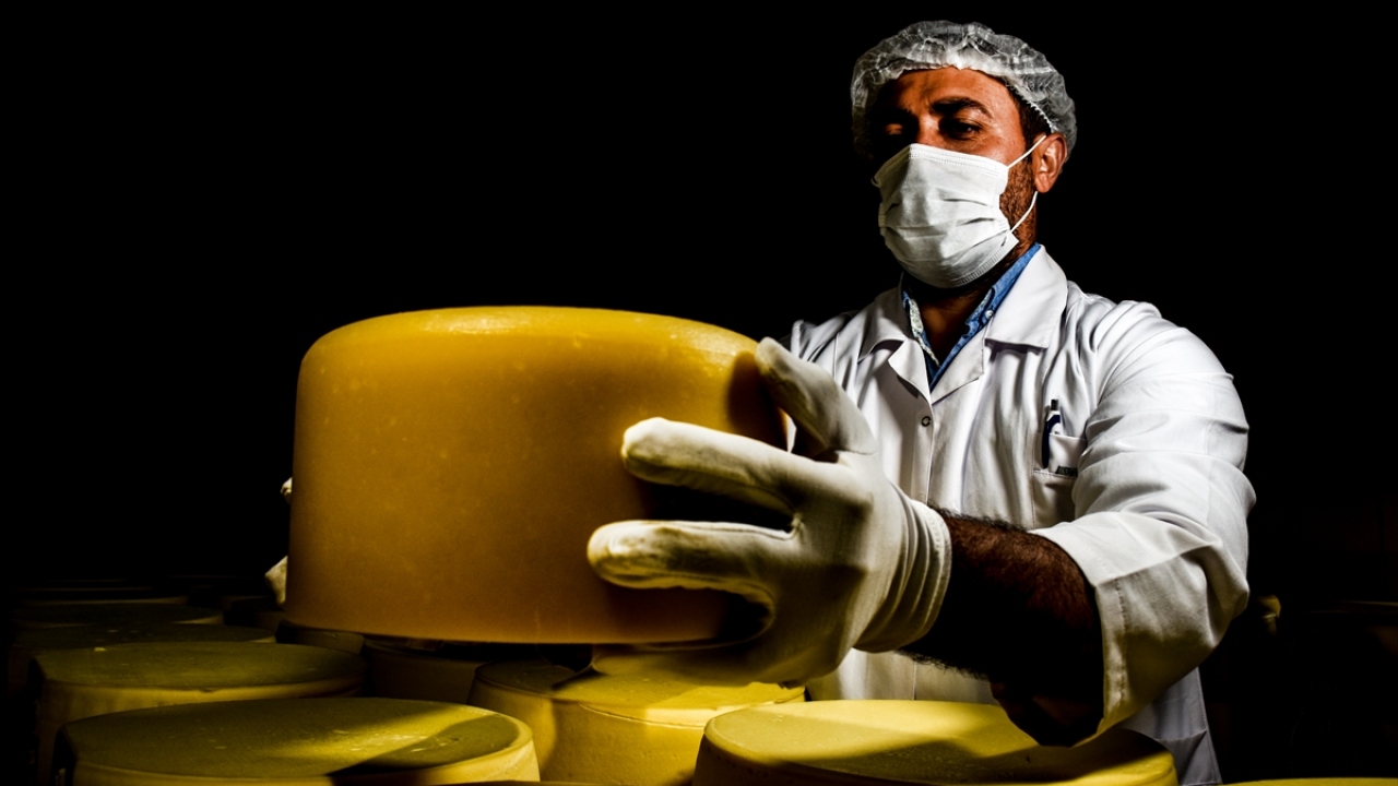 Nisan, mayıs, haziran ve temmuz aylarında elde edilen sütten yapılan eski kaşar, 6 aylık olgunlaştırma sürecinden sonra satışa sunuluyor.