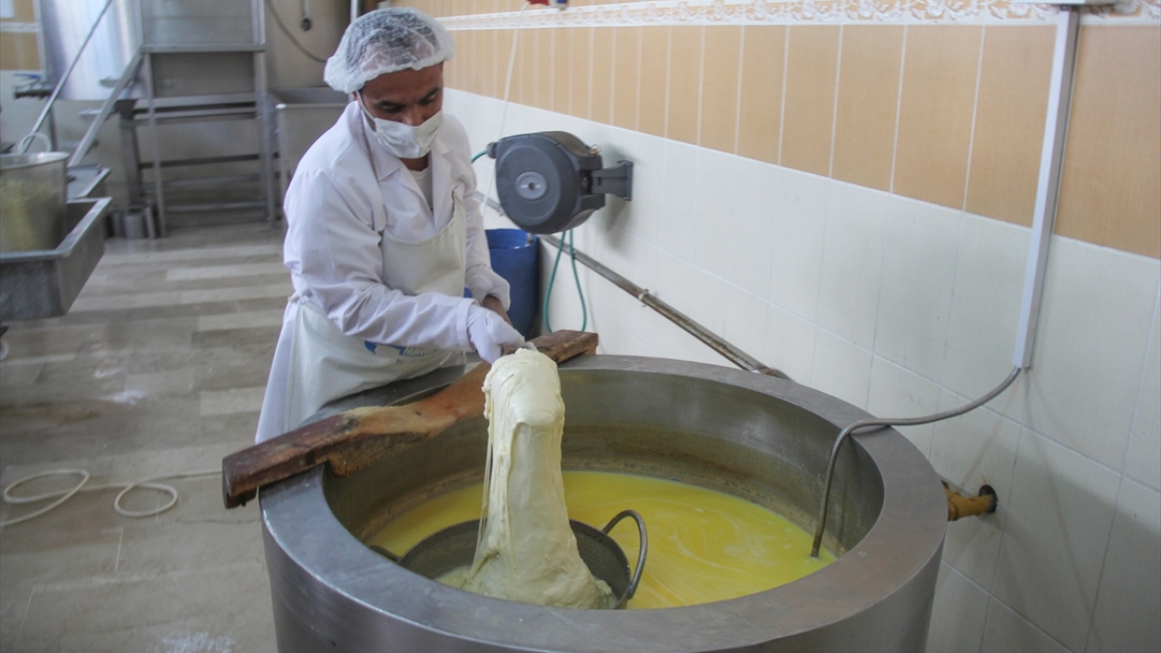 6 ay olgunlaştırılan peynir rengini doğadaki çiçeklerden alıyor