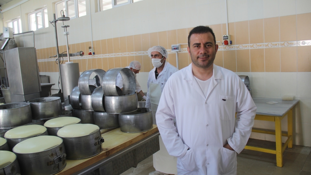 Kentte kaşar üreten firmalardan Akın Süt`ün Genel Müdürü Temel Karaciğer, yaptığı açıklamada, baba mesleğini sürdürdüklerini söyledi.