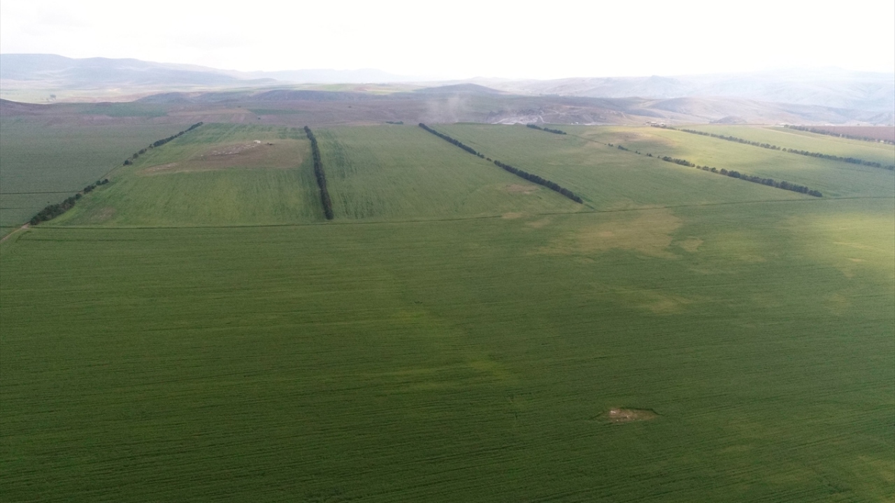 İşletmelerinde damızlık satışı ve üretim yaptıklarını dile getiren Keskin, şunları kaydetti: