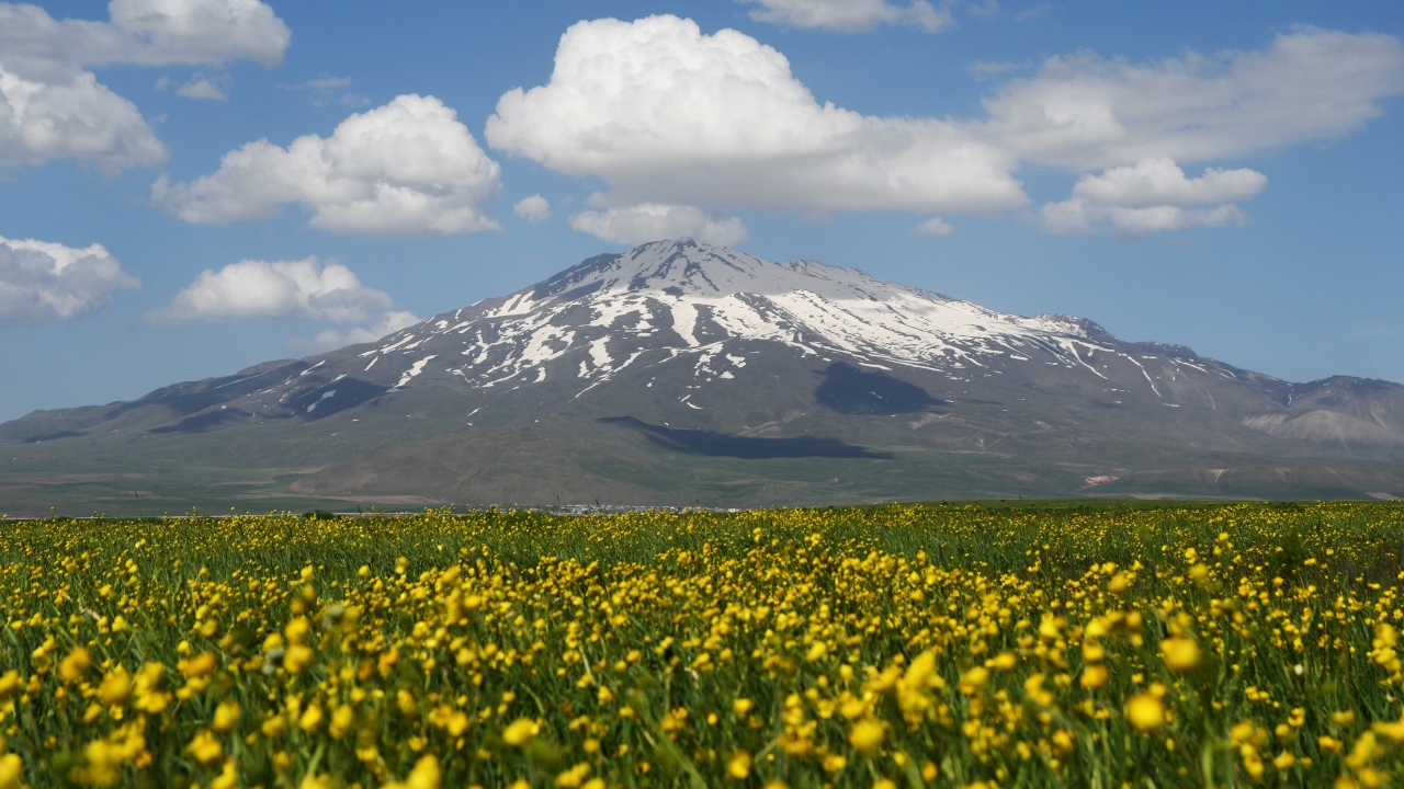 Süphan dağı eteklerinde bulunan 2 bin 150 metre rakımdaki Sütey Yaylası içinde bulunan Cil Gölü ve çevresindeki yeşillikler ve rengarenk açan çiçekler muhteşem görüntüler sunuyor. 