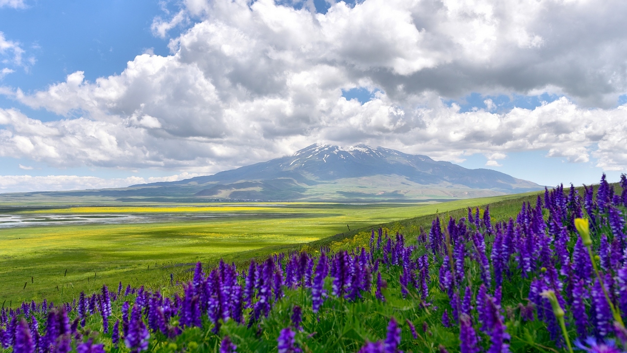 Yüksek rakımından dolayı bahar mevsiminin geç geldiği yaylada Mayıs ve Haziran ayı boyunca çeşitli dönemlerde rengarenk çiçekler açıyor. 