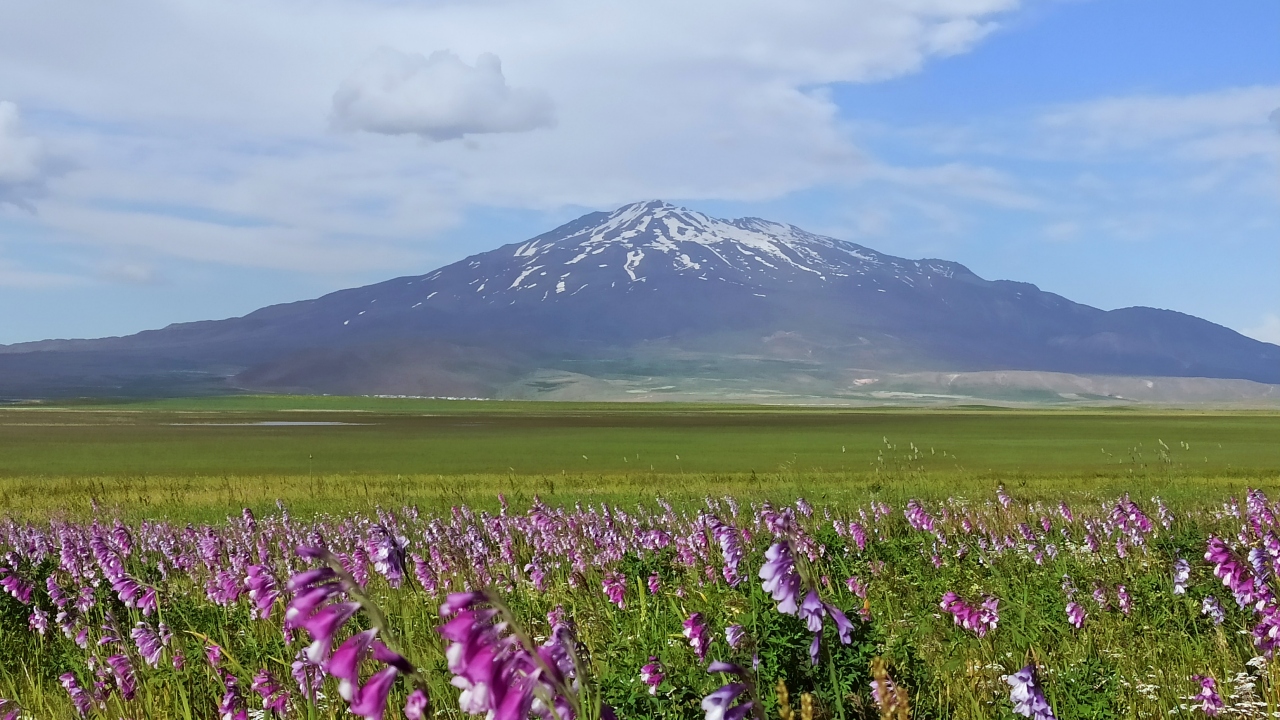Bulutlu havalarda Sütey Yaylası ve Süphan Dağı’nın zaman atlamalı çekimini (time lapse) yapan fotoğrafçılar ortaya eşsiz görüntüler çıkarıyor. 