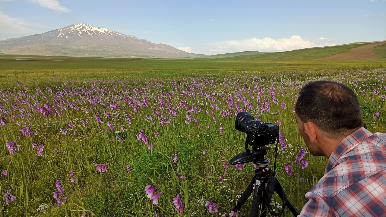 Yaylaya bahar mevsiminde sıklıkla çıkan fotoğrafçılar farklı dönemlerde açan çiçeklerin karlı Süphan Dağı ile oluşturduğu eşsiz manzaraları fotoğraflayarak arşivlerine katıyor.
