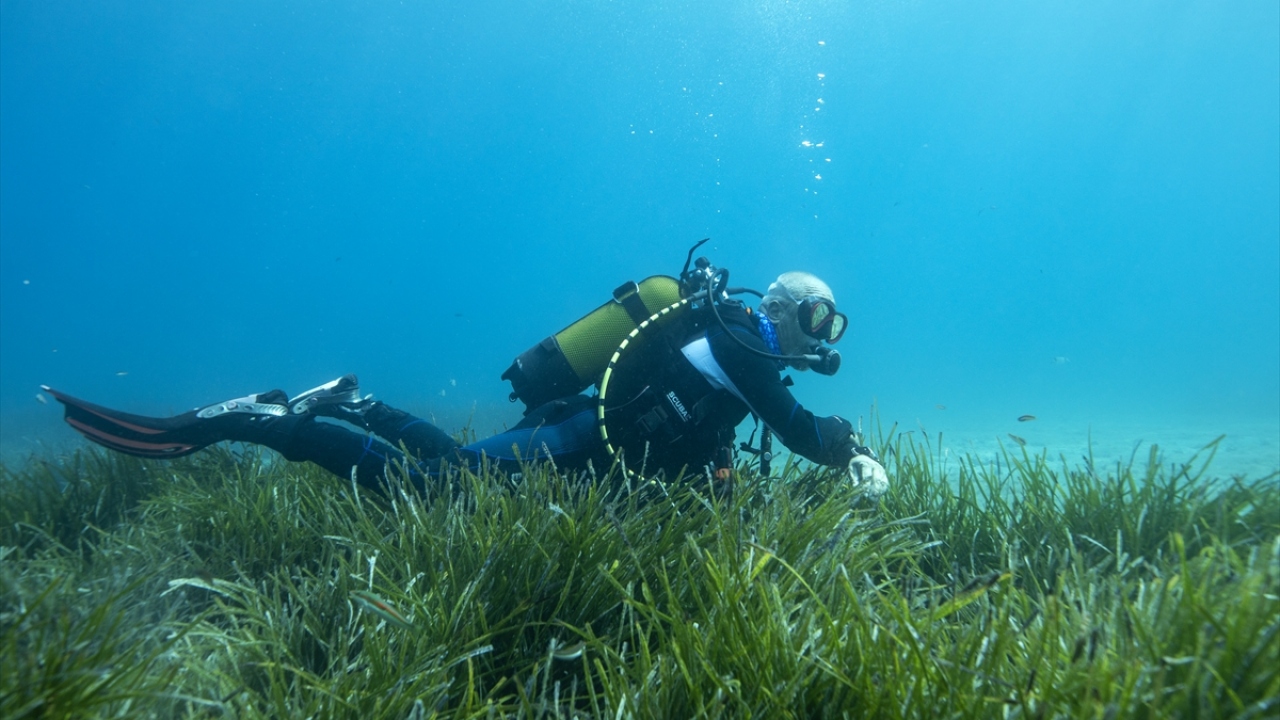 Tanrıkul, Karaburun`da batırılan vapurların, deniz canlılığının korunup geliştirilmesi açısından önemli olduğunu, son yıllarda Türkiye`nin birçok bölgesinde böyle çalışmaların artmaya başladığının altını çizdi.