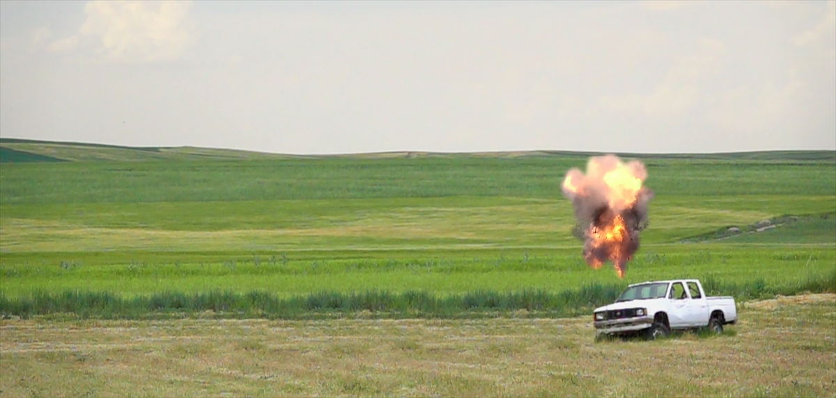 Farklı kamikazeler aynı sürüde