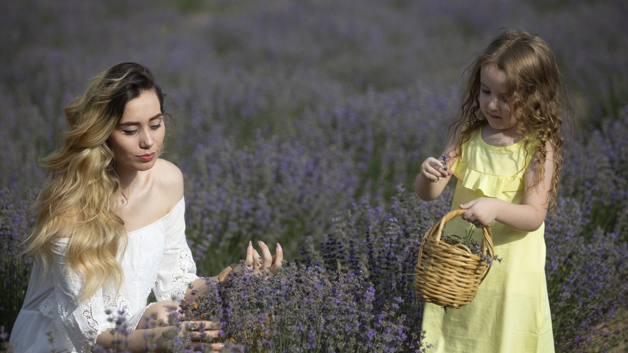 Etkinlikte birbirinden renkli kıyafetlerle lavantaların arasında dolaşan modeller, fotoğrafçılara poz verdi. 