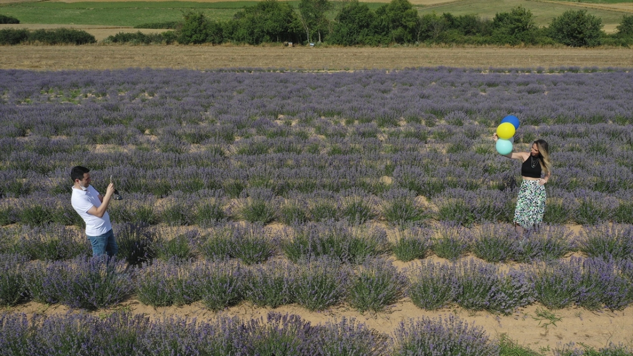 Edirne Kültür ve Turizm Müdürlüğü ve Edirne Fotoğraf Sanatı Derneği (EFOD) işbirliğiyle Selin ve Yasin Deniz çiftinin Orhaniye köyündeki lavanta tarlasında düzenlenen etkinliğe 90 fotoğrafçı katıldı.