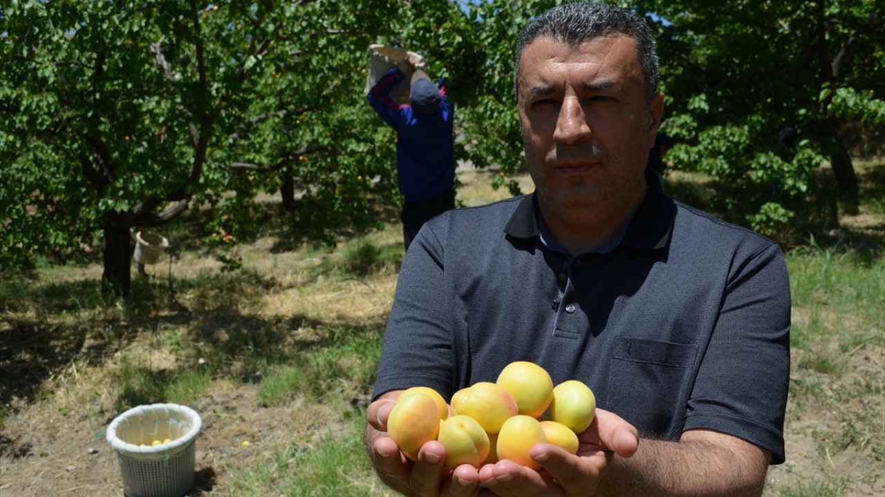 "Fiyatlar memnun edici"