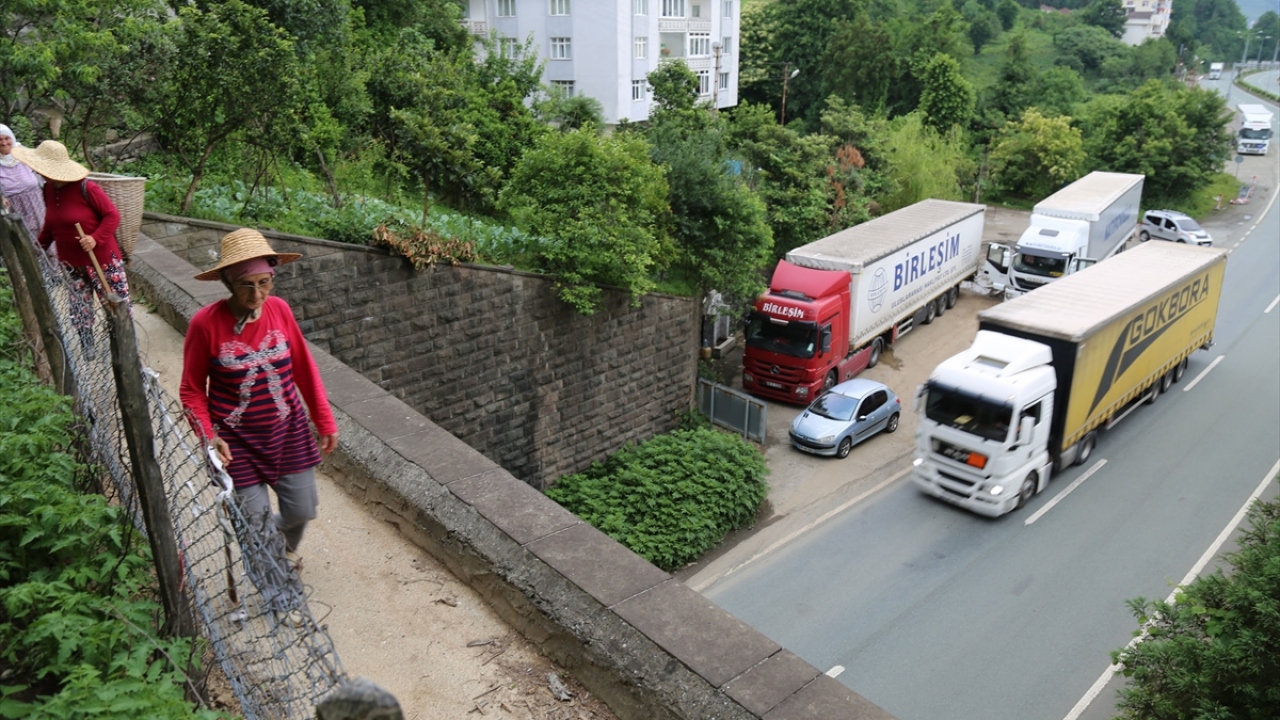 Uluslararası kara yolundaki tünel üzerinde tarım faaliyetinin yapıldığını fark edenler ise şaşkınlıklarını gizleyemiyor.