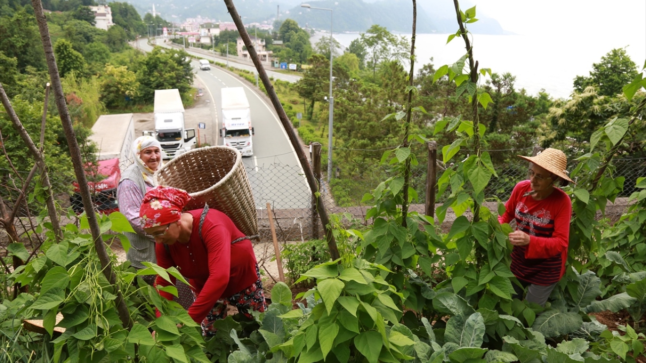 "Toprağın titrediğini hissediyoruz ama korkmuyoruz"
