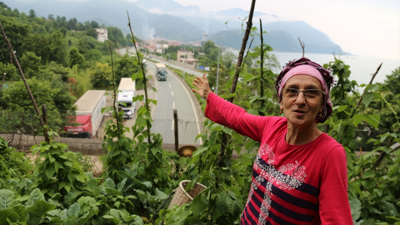 Topraklarda babalarının alın teri olduğunu vurgulayan Akdemir, annesinin 85 yaşında olduğunu, yaşına rağmen halen tarlaya gelip bir şeyler yaptığını ifade etti.
