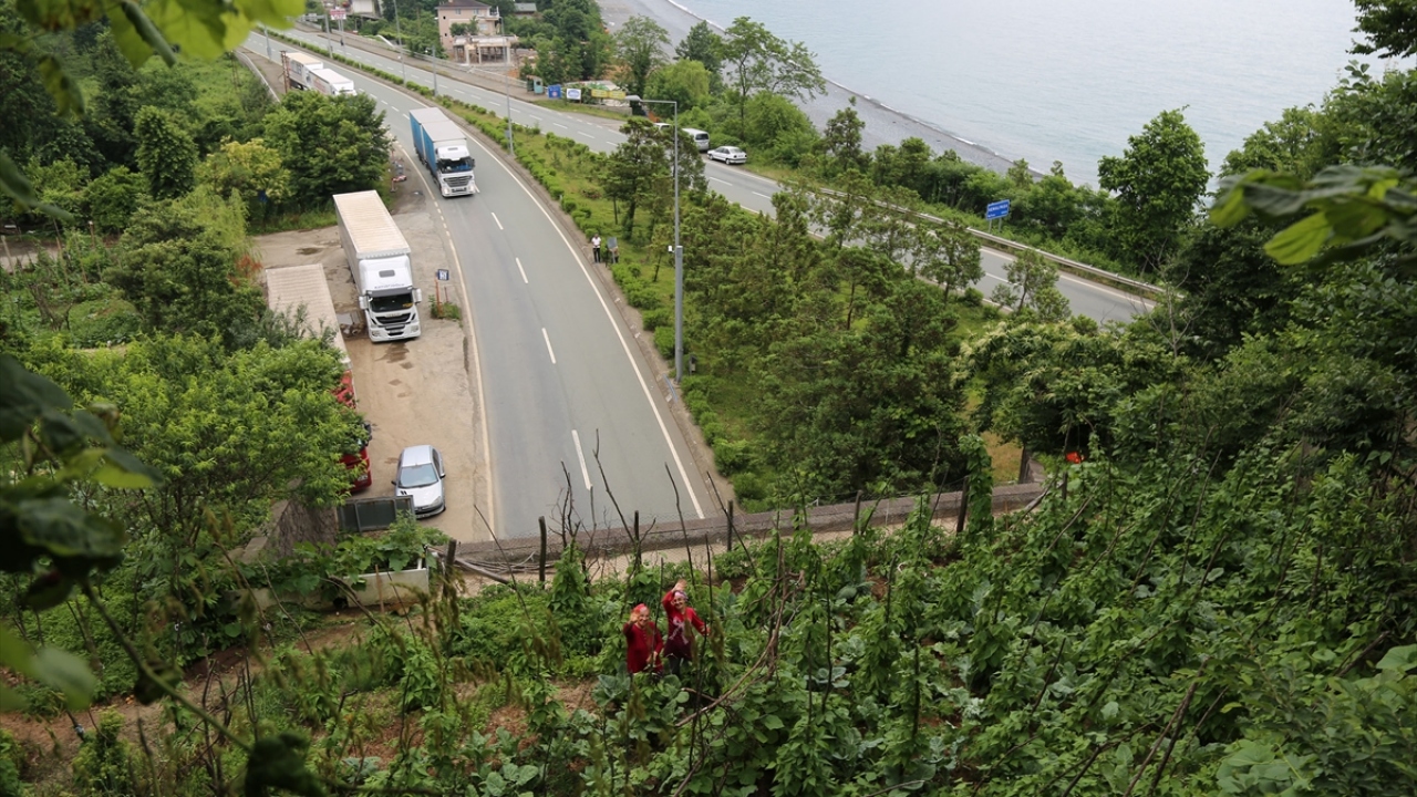 Bölge sakinlerinden Sedat Sonbay ise tünel üstündeki bahçenin bölgeden geçenlerin ilgisini çektiğini söyledi. 