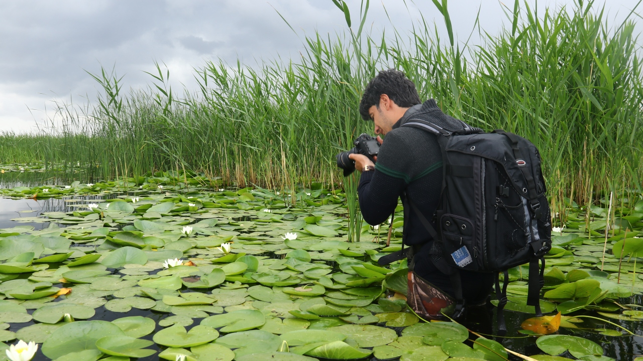 Fotoğraf tutkunlarından Yusuf Çelik, nilüferlerin Süphan Dağı`yla bütünleşen görüntüsünün eşsiz bir manzara oluşturduğunu söyledi.