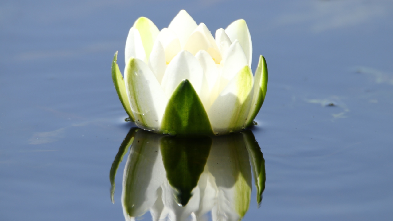 Fotoğraf: Necmettin Karaca