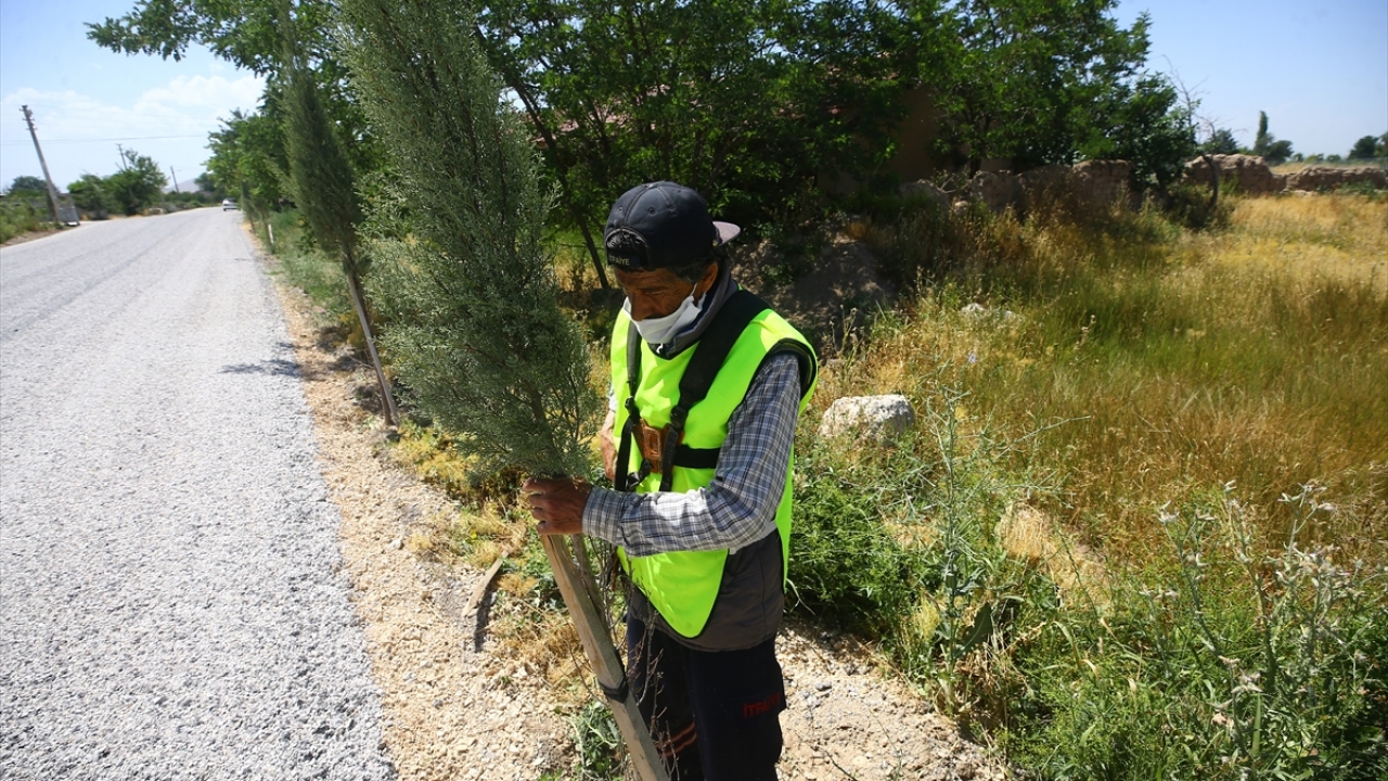Çumra ilçesindeki Alibeyhüyüğü Mahallesi`nde yaşayan esnaf Tabak`ın çorak topraklarda verdiği doğa mücadelesi bozkırı yeşile bürüdü. 