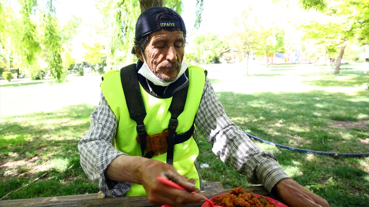 Yıllar boyunca diktiği ağaçlara gözü gibi baktığını anlatan Tabak, bu işin sevmeden yapılamayacağını kaydetti. 