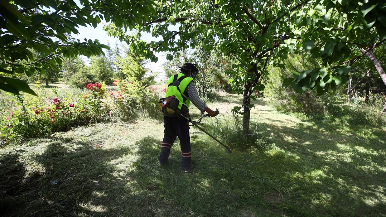 "Her gelen fidanı toprakla buluşturuyorum"