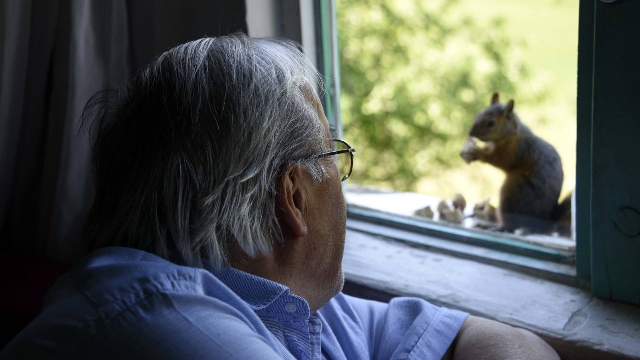 "Erkeğe `Sultan Süleyman`, dişiye de `Hürrem` ismini verdim"