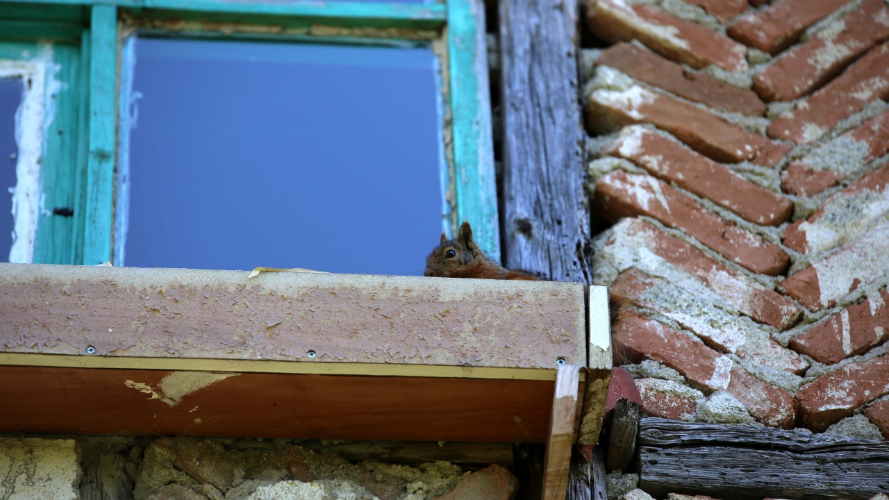Kışın şehir merkezindeki oğlunun yanında kaldığını anlatan Kaş, şöyle devam etti: