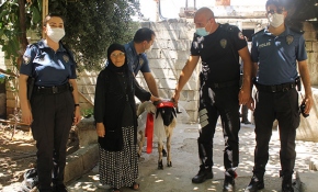 Reyhanlı polisinden Rahme teyzeye kurban sürprizi