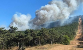İstanbul'da orman yangını