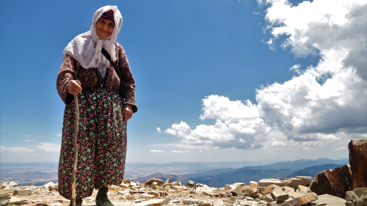 Kent merkezine 65 kilometre uzaklıktaki Uludaz Tepesi`nde haziran ayında çoğalan uğur böceklerini görmeye gelenler arasında 95 yaşındaki Fatma Zor da bulunuyor.