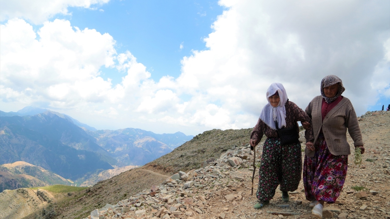 Yazın yaprakların arasında uçuşan ve tarım zararlısı olarak bilinen yaprak bitleri, beyaz sinek ve tripslerle beslenen uğur böceklerine tepede, taş altında, gevşek bir ağaç kabuğunun altında ya da kuytu yerlerde rastlanabiliyor. 
