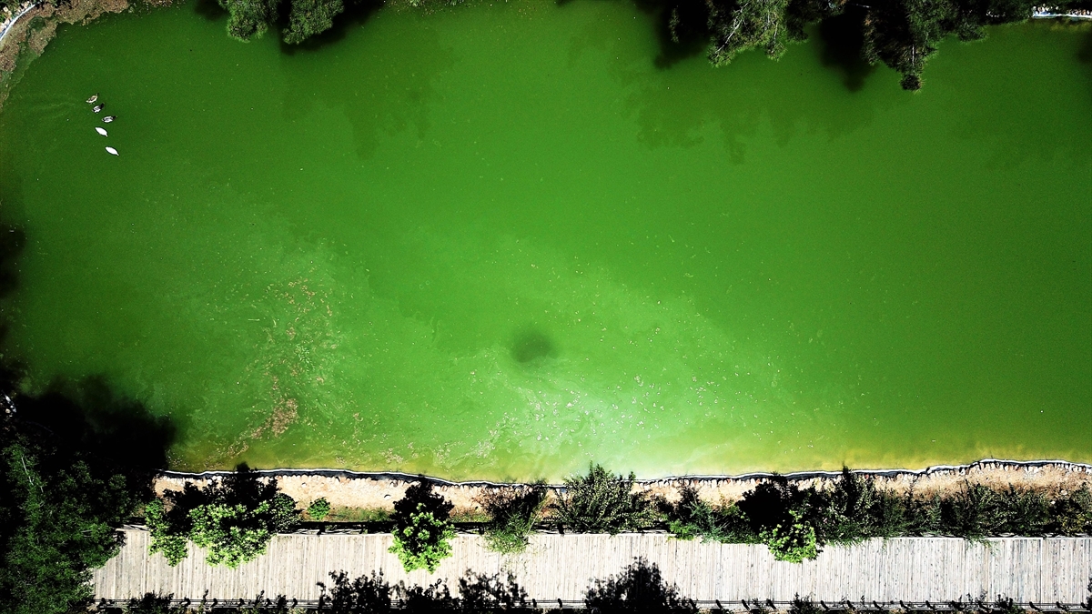 Kent merkezine 36 kilometre uzaklıktaki Türkiye`nin 39`uncu tabiat parkı ilan edilen Yavşan Yaylası, 3 bin 480 dekarlık büyüklüğüyle dikkati çekiyor.