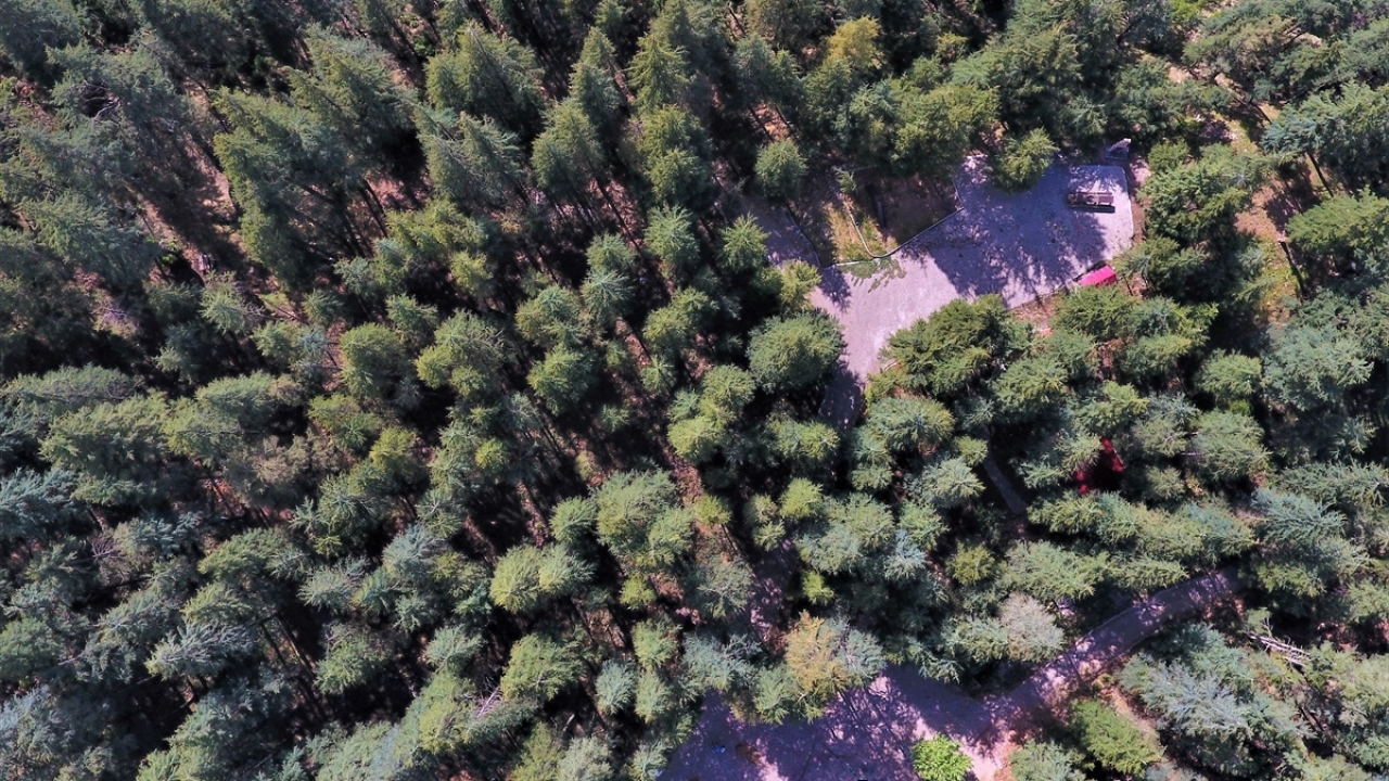 Serin havası kadar suyuyla da öne çıkan yayla, Kahramanmaraşlıların yanı sıra bölge illerden gelen vatandaşların uğrak yeri haline geldi.