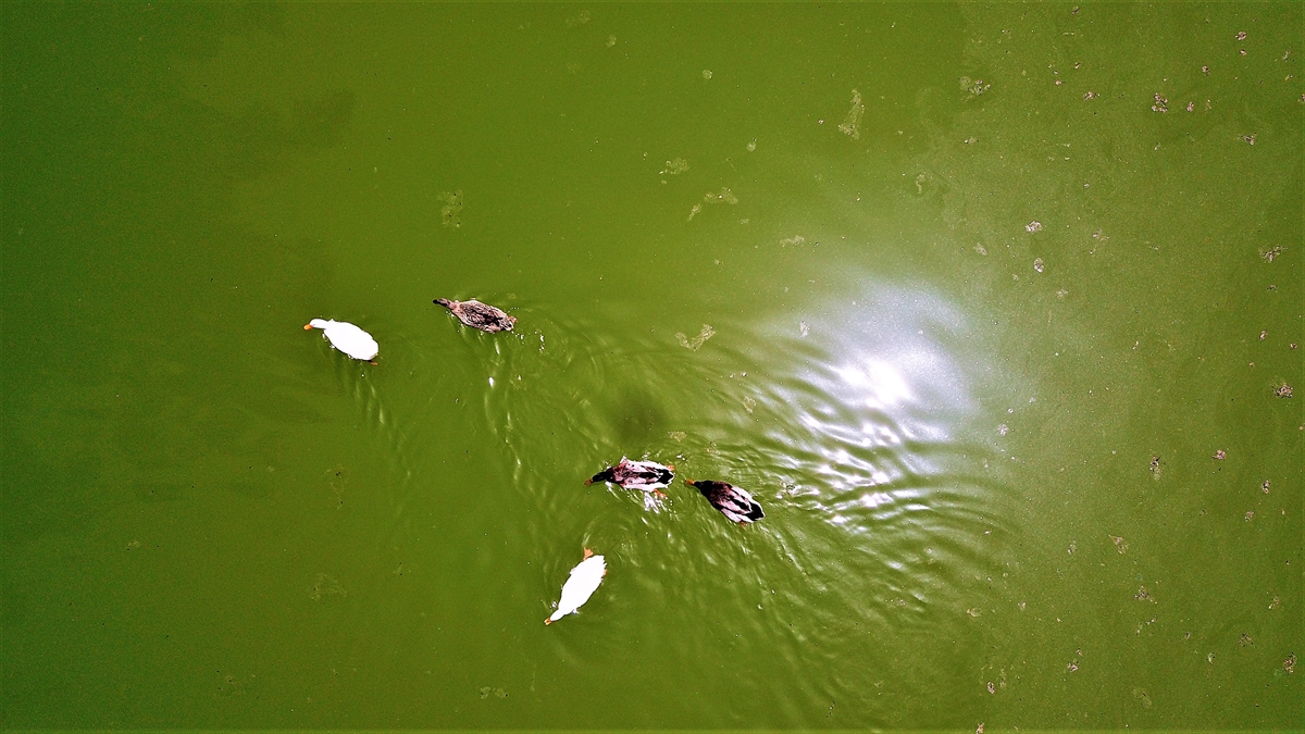 Türkiye`nin 30`uncu tabiat parkı ilan edilen Kapıçam Tabiat Parkı da kentin önemli doğal mekanları arasında yer alıyor.