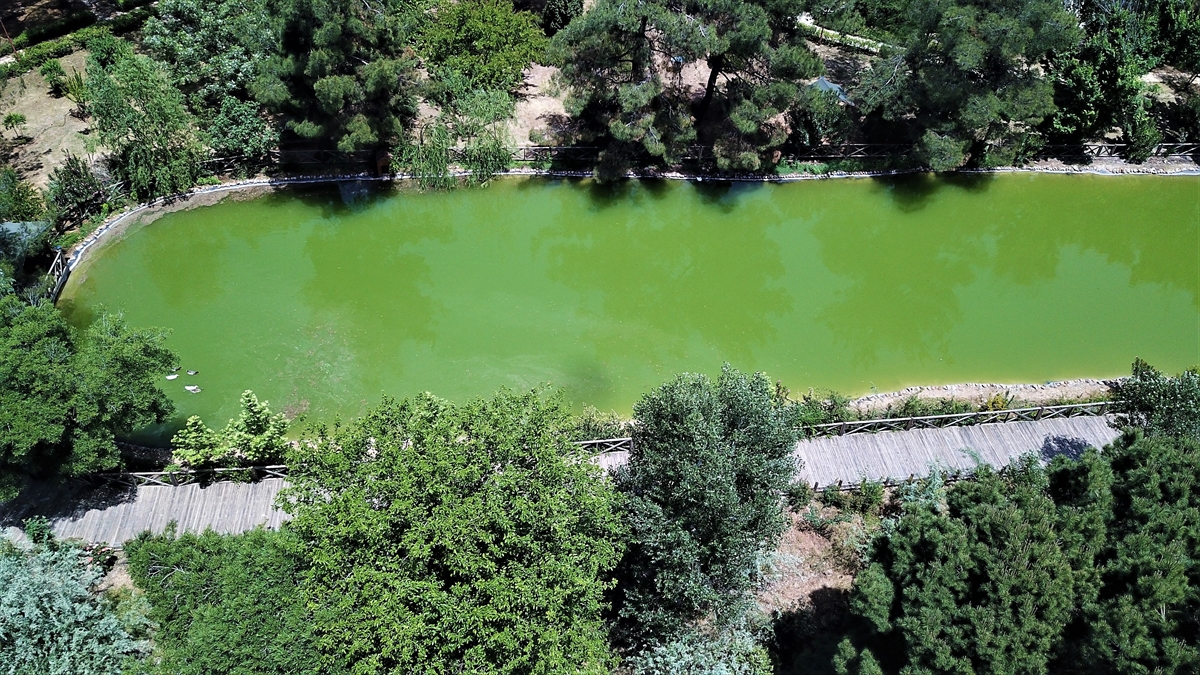 Kent merkezine 13 kilometre uzaklıktaki park, 1790 dekar büyüklüğü, taşıdığı doğal ve kültürel kaynak değerleri dolayısıyla dikkat çekiyor.