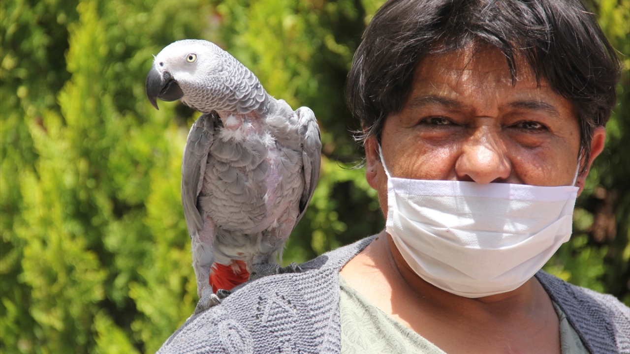 "Sabri"yi bir an olsun yanından ayırmayan Karabulut, papağanıyla yemek yiyor, gezinti yapıyor ve alışverişe çıkıyor. 