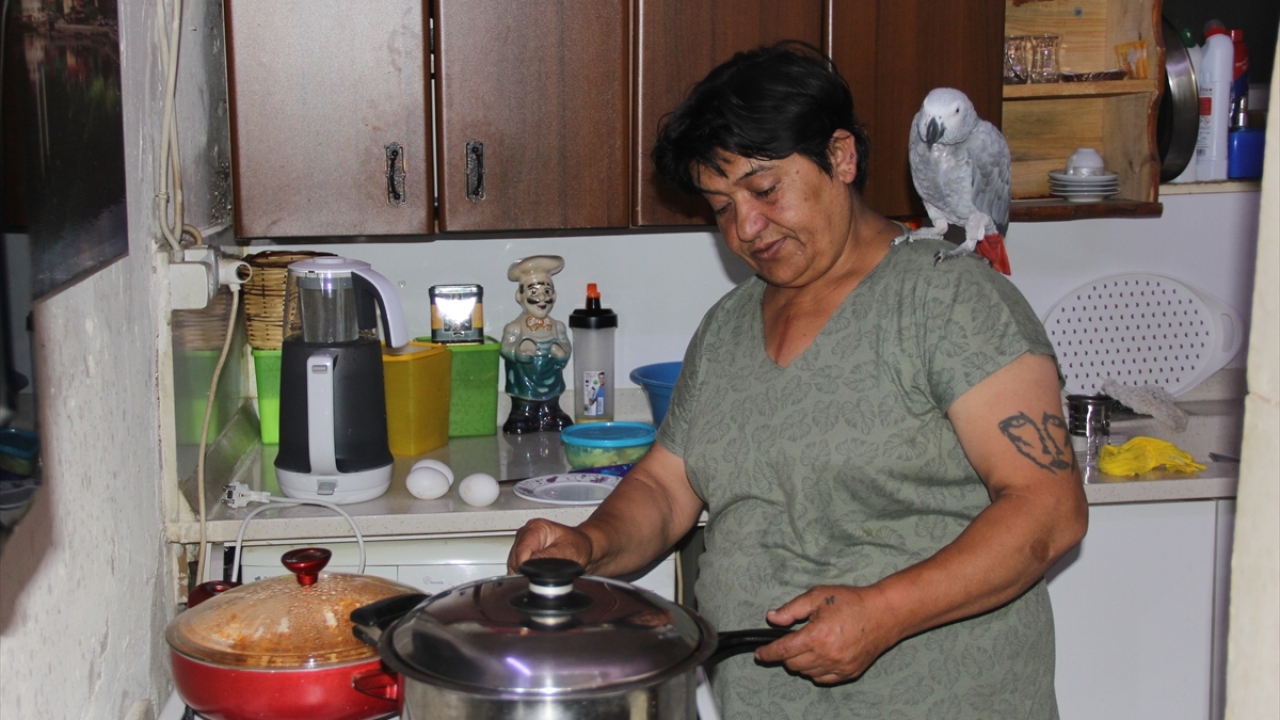 Karabulut, yaptığı açıklamada, iki oğluyla yaşadığını, papağanının da adeta evin bir üyesi olduğunu söyledi. 