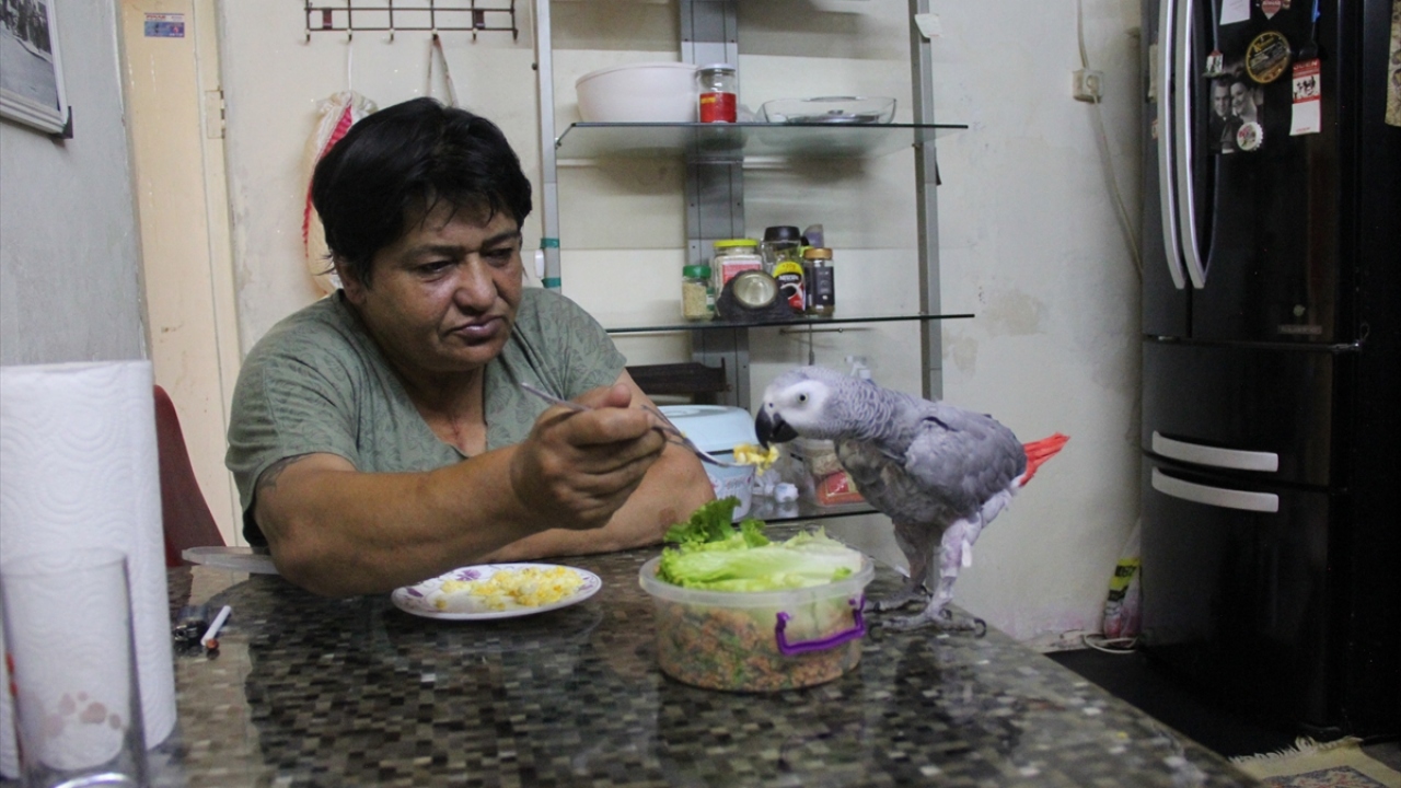 Her yere birlikte gidiyor, birlikte uyuyor